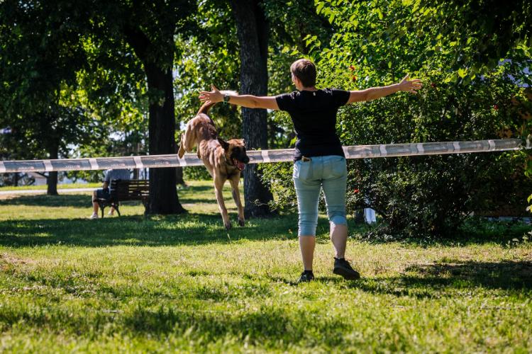 zavrsen-treci-festival-pasa-svih-rasa-ulicni-psi-2